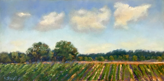 oil painting by Elizabeth Garat titled Sunday Afternoon, Delta Farmland