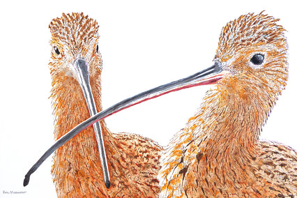 acrylic painting by Emil Morhardt titled A Pair of Curlews