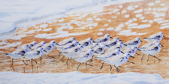 acrylic painting by Emil Morhardt titled A Slalom of Sanderlings