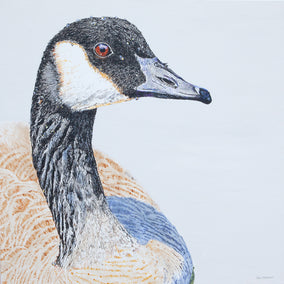 acrylic painting by Emil Morhardt titled Canada Goose #1