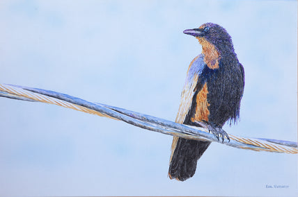 acrylic painting by Emil Morhardt titled Crow on a Wire