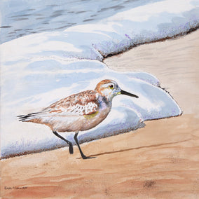 acrylic painting by Emil Morhardt titled Sanderling #22