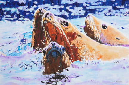 acrylic painting by Emil Morhardt titled Steller Sea Lions at Sea