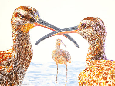 acrylic painting by Emil Morhardt titled Three Whimbrels in Conversation