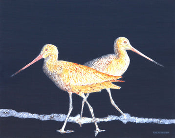 acrylic painting by Emil Morhardt titled Two Godwits at Night