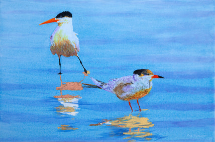 acrylic painting by Emil Morhardt titled Two Tentative Terns