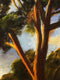 Original art for sale at UGallery.com | Eucalyptus II by Mandy Main | $450 | oil painting | 12' h x 12' w | thumbnail 4