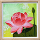 Original art for sale at UGallery.com | Four Lotus by Guigen Zha | $475 | mixed media artwork | 12' h x 12' w | thumbnail 4