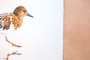 Black Turnstone #3 by Emil Morhardt |  Side View of Artwork 