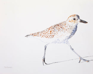 Black-Bellied Plover #9 by Emil Morhardt |  Artwork Main Image 