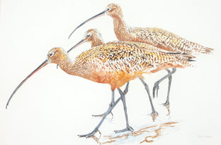 Three Long-Billed Curlews by Emil Morhardt |  Artwork Main Image 