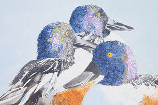 Three Northern Shovelers by Emil Morhardt |   Closeup View of Artwork 