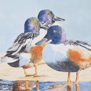 Three Northern Shovelers by Emil Morhardt |  Artwork Main Image 