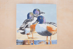 Three Northern Shovelers by Emil Morhardt |  Context View of Artwork 