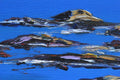 Original art for sale at UGallery.com | My Big Sur by Lisa Elley | $775 | oil painting | 24' h x 24' w | thumbnail 4