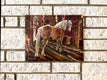 Original art for sale at UGallery.com | The Haflinger by Jan Fontecchio Perley | $625 | oil painting | 11' h x 14' w | thumbnail 3