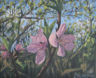 Spring Blossoms by Jay Jensen |  Artwork Main Image 