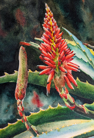 Blooming Succulents by Jinny Tomozy |   Closeup View of Artwork 