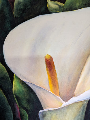 Portrait of a Lily by Jinny Tomozy |   Closeup View of Artwork 