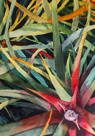 Rainbow Succulents by Jinny Tomozy |   Closeup View of Artwork 