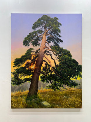 Pine by Jose Luis Bermudez |  Context View of Artwork 
