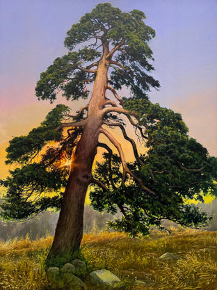 Pine by Jose Luis Bermudez |  Artwork Main Image 