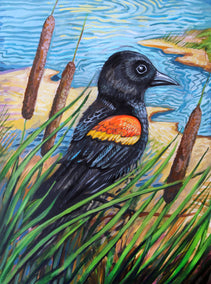 acrylic painting by Kira Yustak titled Red-Winged Blackbird