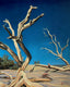 Original art for sale at UGallery.com | Mesquite Flat by Jesse Aldana | $725 | oil painting | 20' h x 16' w | thumbnail 1