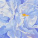 Original art for sale at UGallery.com | Shady Peony by Natalie George | $1,100 | oil painting | 24' h x 24' w | thumbnail 1