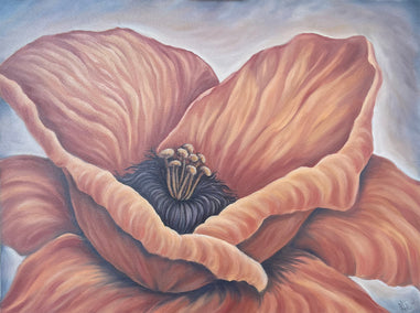 oil painting by Pamela Hoke titled Fiery Heart Poppy