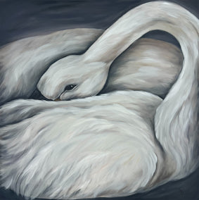 oil painting by Pamela Hoke titled Peaceful Swan