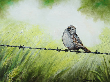 oil painting by Shela Goodman titled Bird on a Barbed Wire