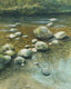 Original art for sale at UGallery.com | Silent Bliss by Jo Galang | $900 | oil painting | 20' h x 16' w | thumbnail 1