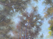 Original art for sale at UGallery.com | Under the Canopy by Gail Greene | $800 | oil painting | 20' h x 24' w | thumbnail 1